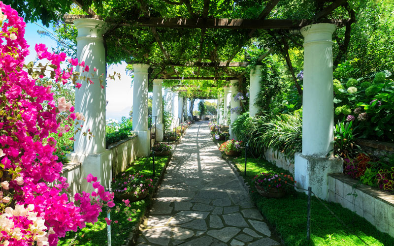TUTTO IL FASCINO DI CAPRI